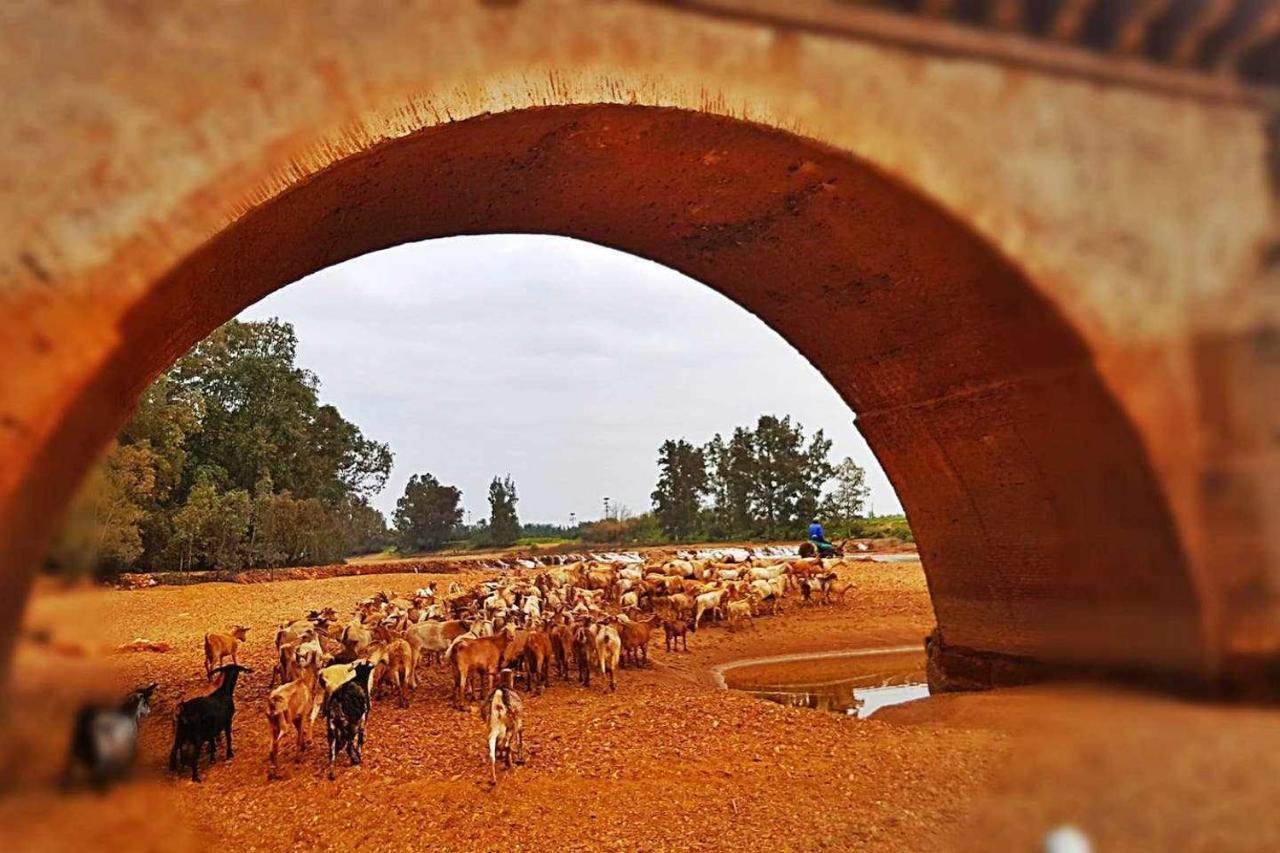 Pensjonat Casa Rural Finca Real De Niebla Zewnętrze zdjęcie