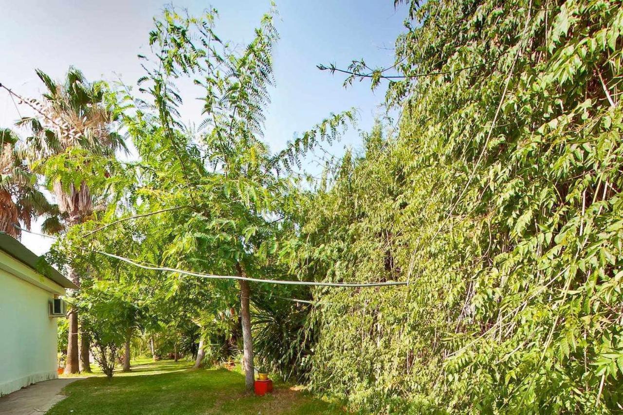 Casa Rural Finca Real De Niebla Zewnętrze zdjęcie
