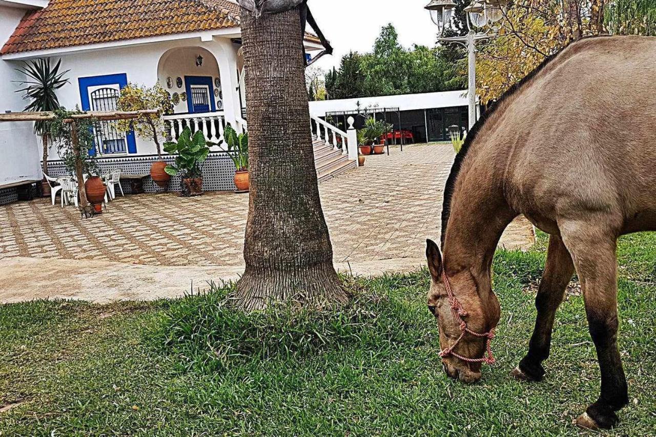 Pensjonat Casa Rural Finca Real De Niebla Zewnętrze zdjęcie