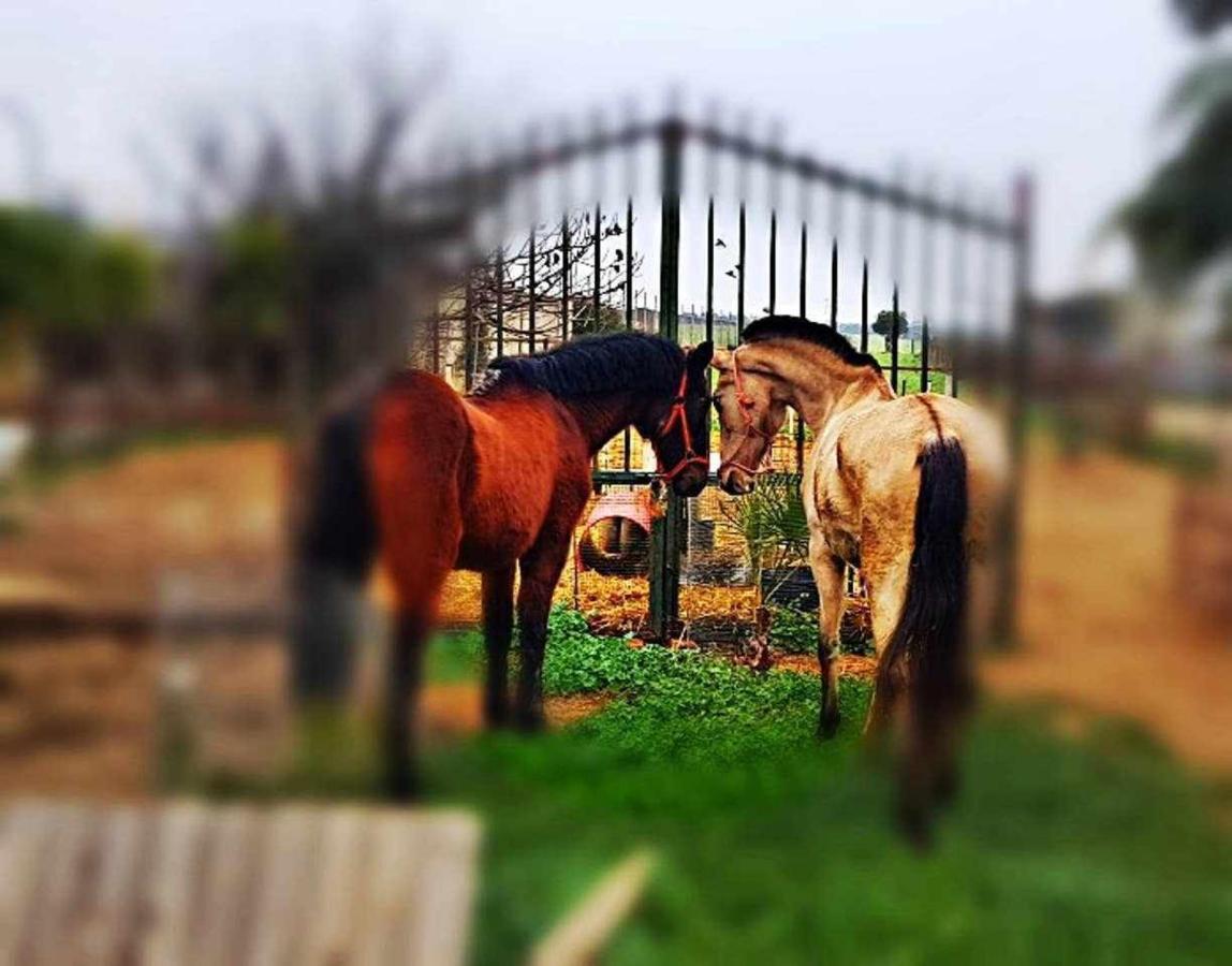 Pensjonat Casa Rural Finca Real De Niebla Zewnętrze zdjęcie