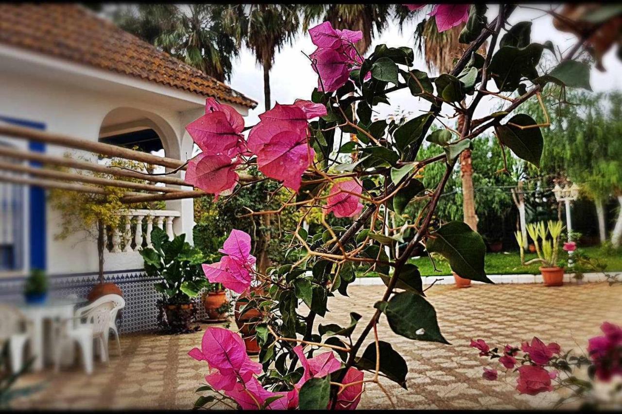 Pensjonat Casa Rural Finca Real De Niebla Zewnętrze zdjęcie