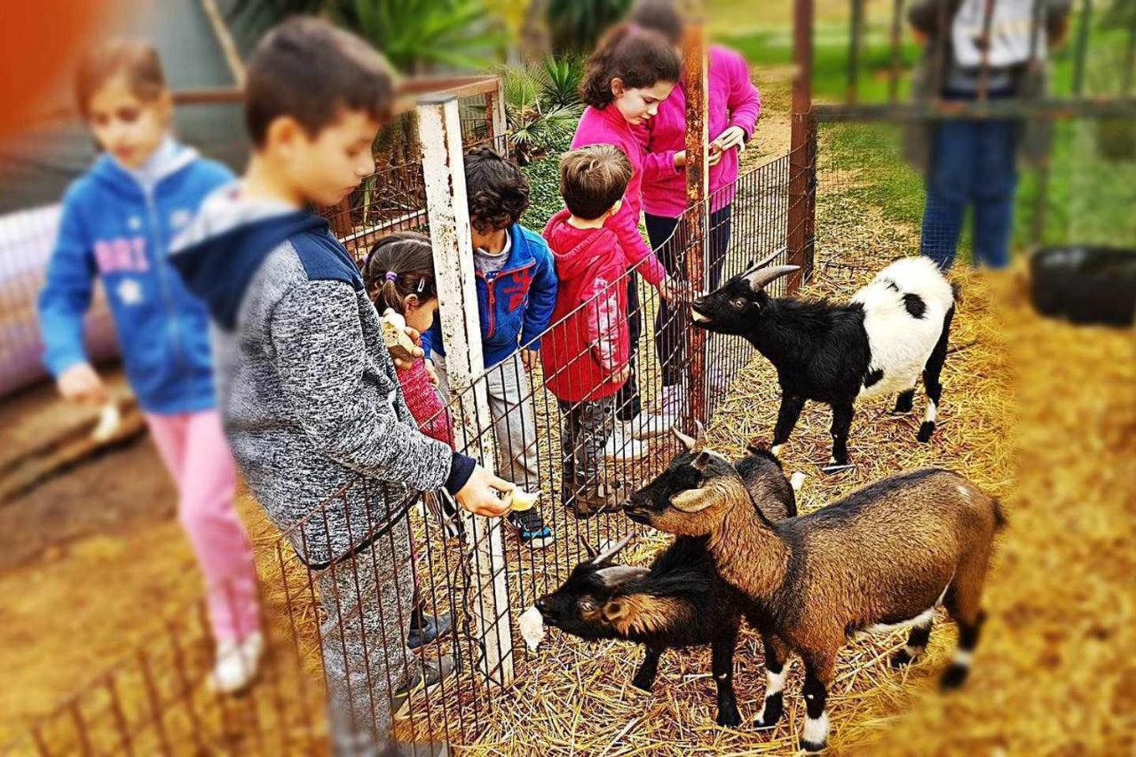 Pensjonat Casa Rural Finca Real De Niebla Zewnętrze zdjęcie